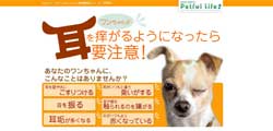 犬の外耳炎