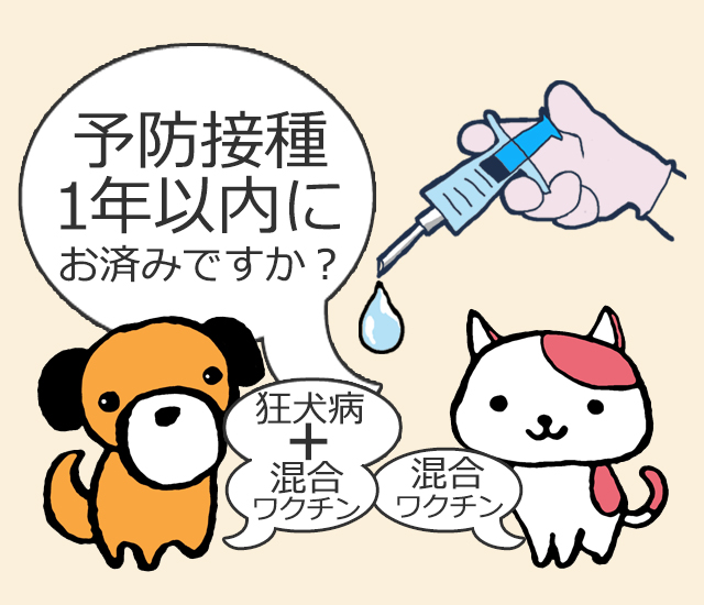 予防接種イメージ