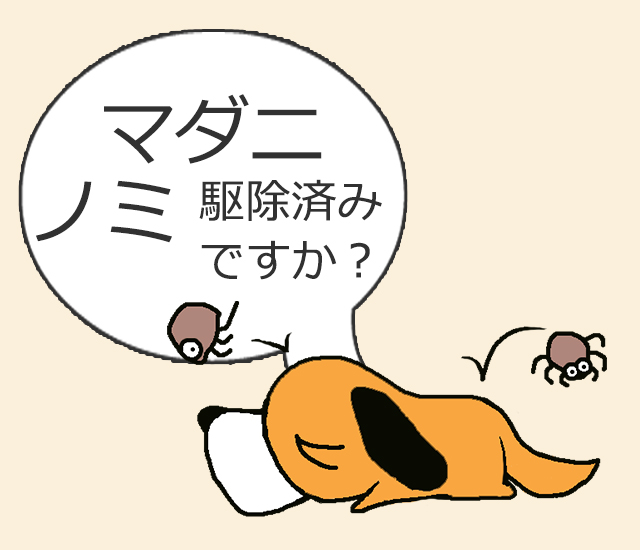マダニイメージ
