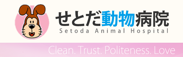 初めの画面へ